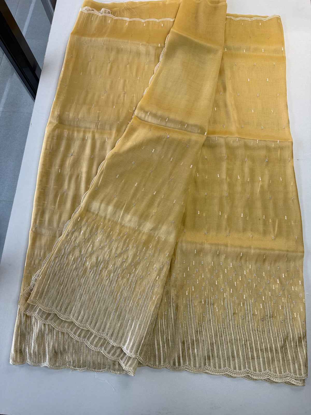 Tissue Organza Saree/ CW367