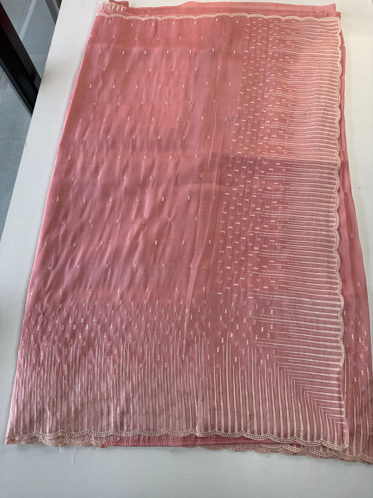 Tissue Organza Saree/ CW367