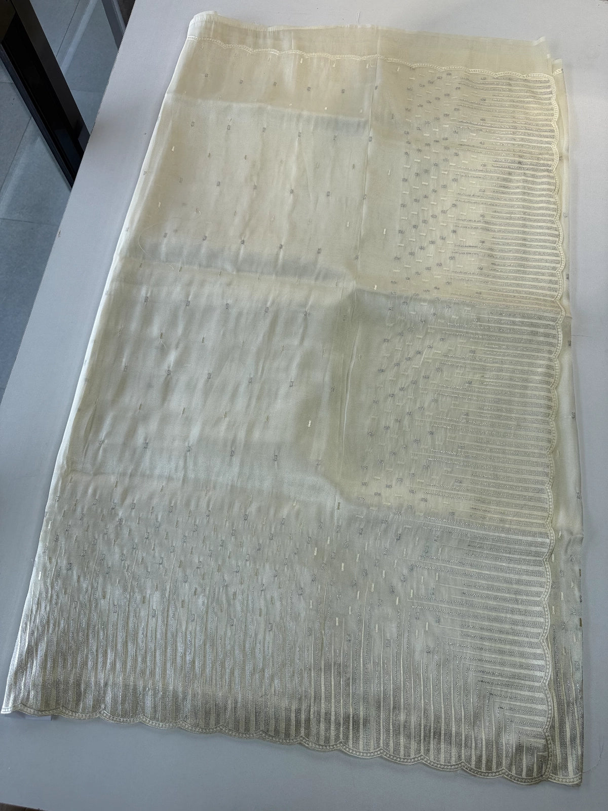 Tissue Organza Saree/ CW367