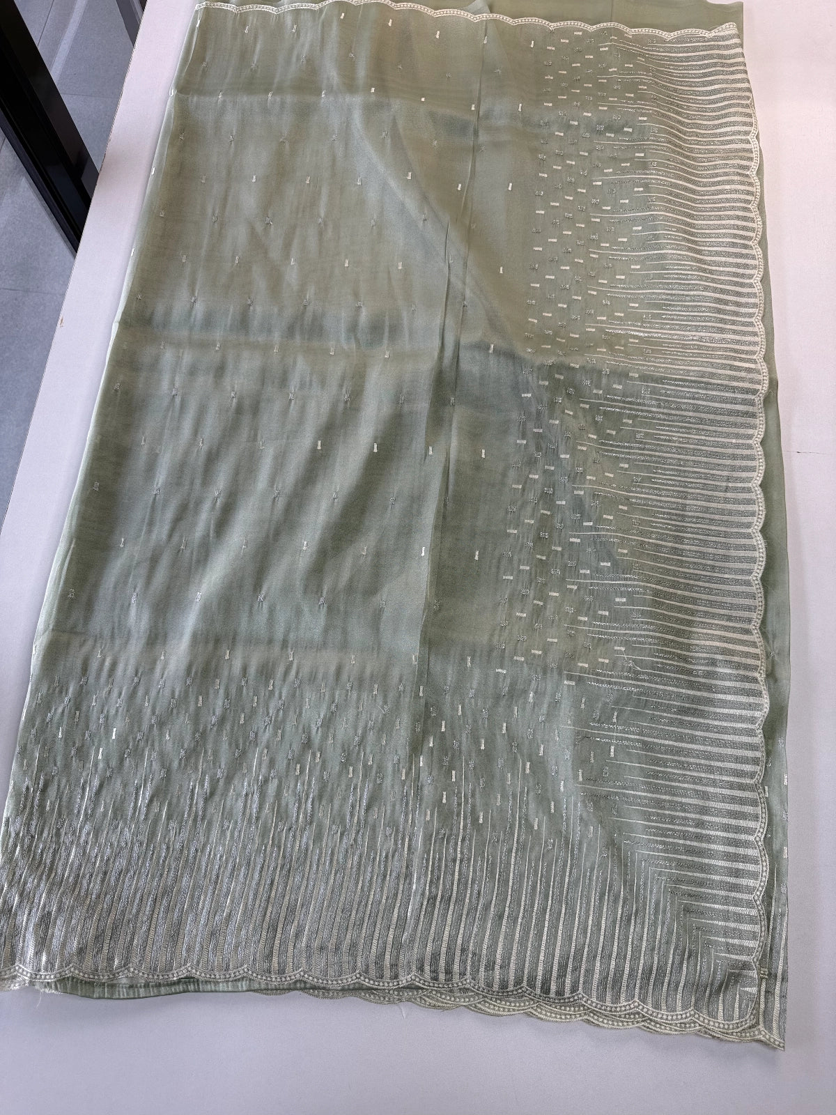 Tissue Organza Saree/ CW367