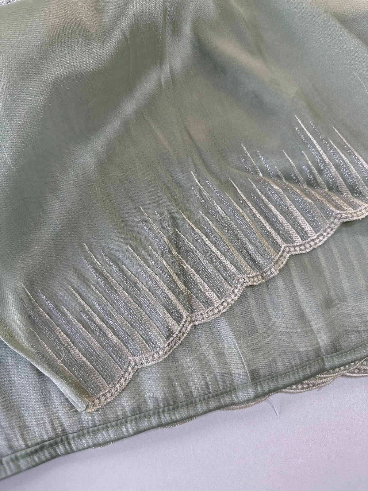 Tissue Organza Saree/ CW367