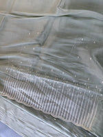 Tissue Organza Saree/ CW367