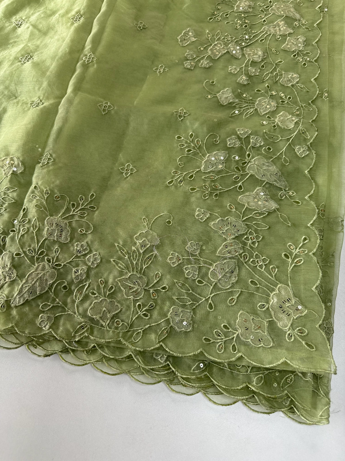 Soft Organza Saree/ 259A