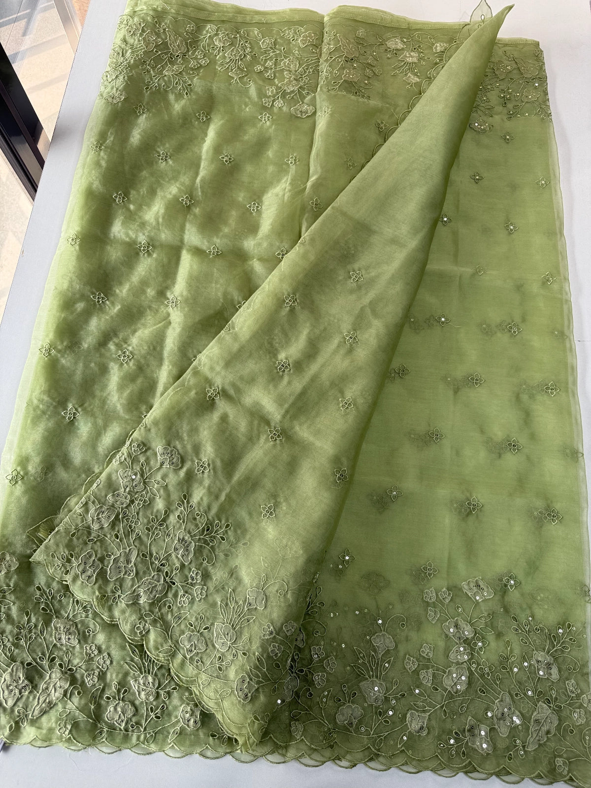 Soft Organza Saree/ 259A