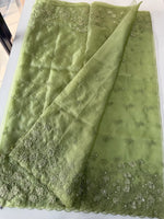 Soft Organza Saree/ 259A
