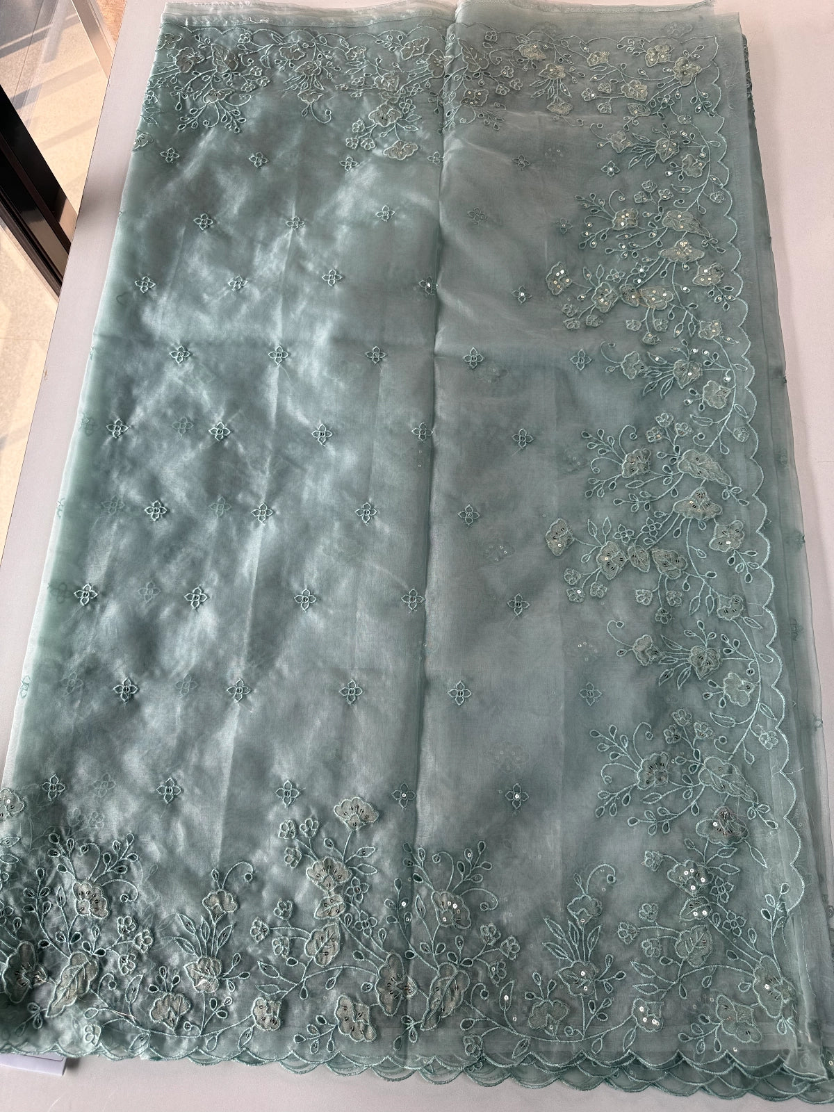 Soft Organza Saree/ 259A