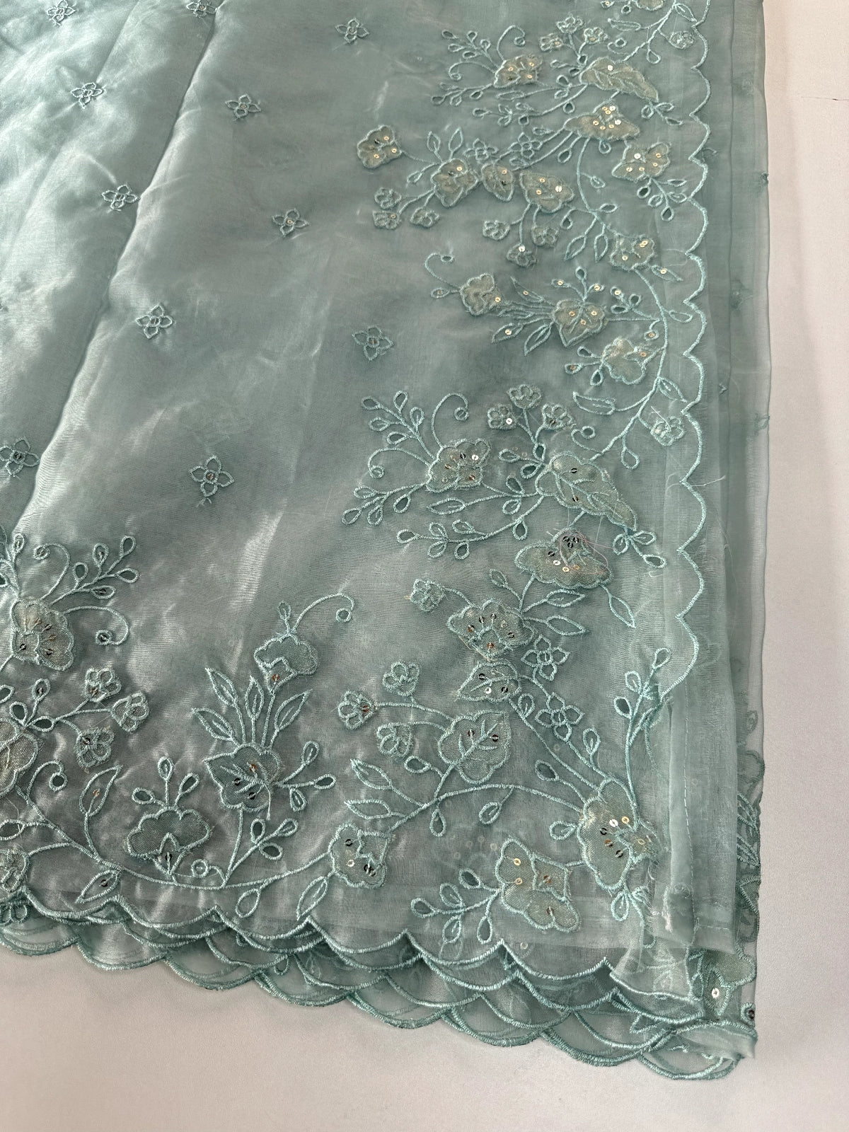 Soft Organza Saree/ 259A