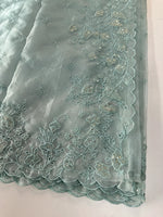 Soft Organza Saree/ 259A
