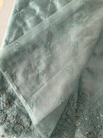 Soft Organza Saree/ 259A