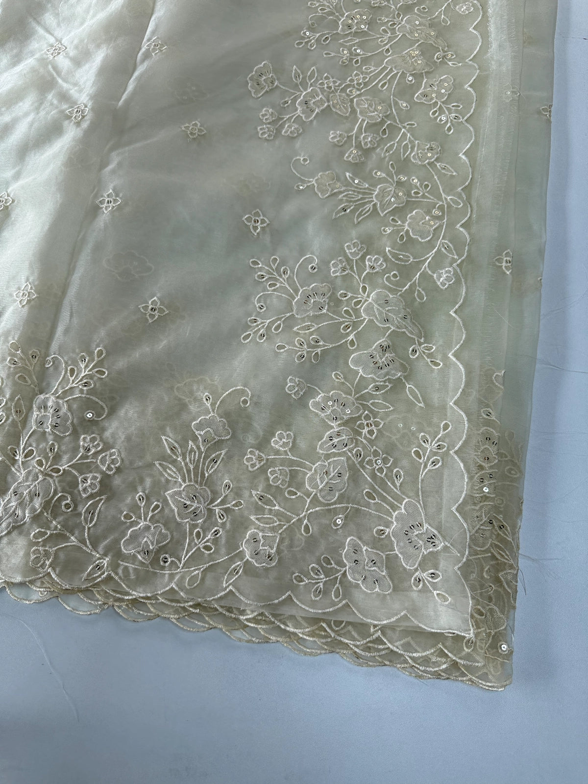 Soft Organza Saree/ 259A