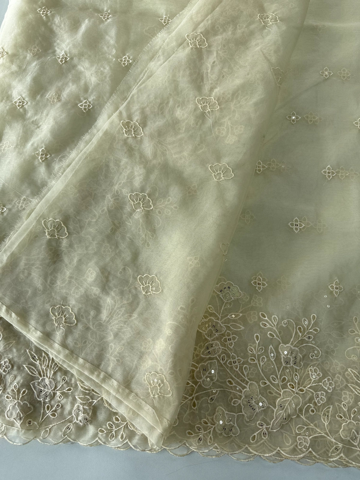 Soft Organza Saree/ 259A