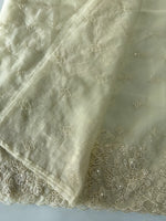 Soft Organza Saree/ 259A