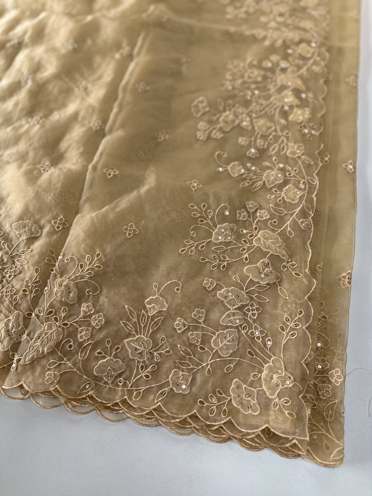 Soft Organza Saree/ 259A