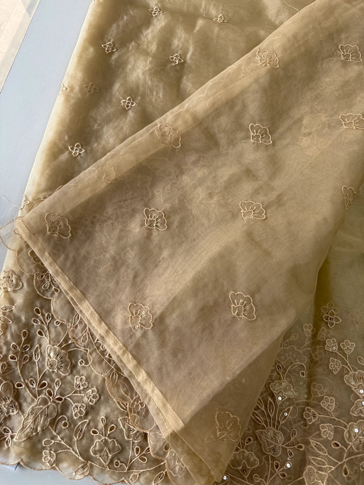 Soft Organza Saree/ 259A