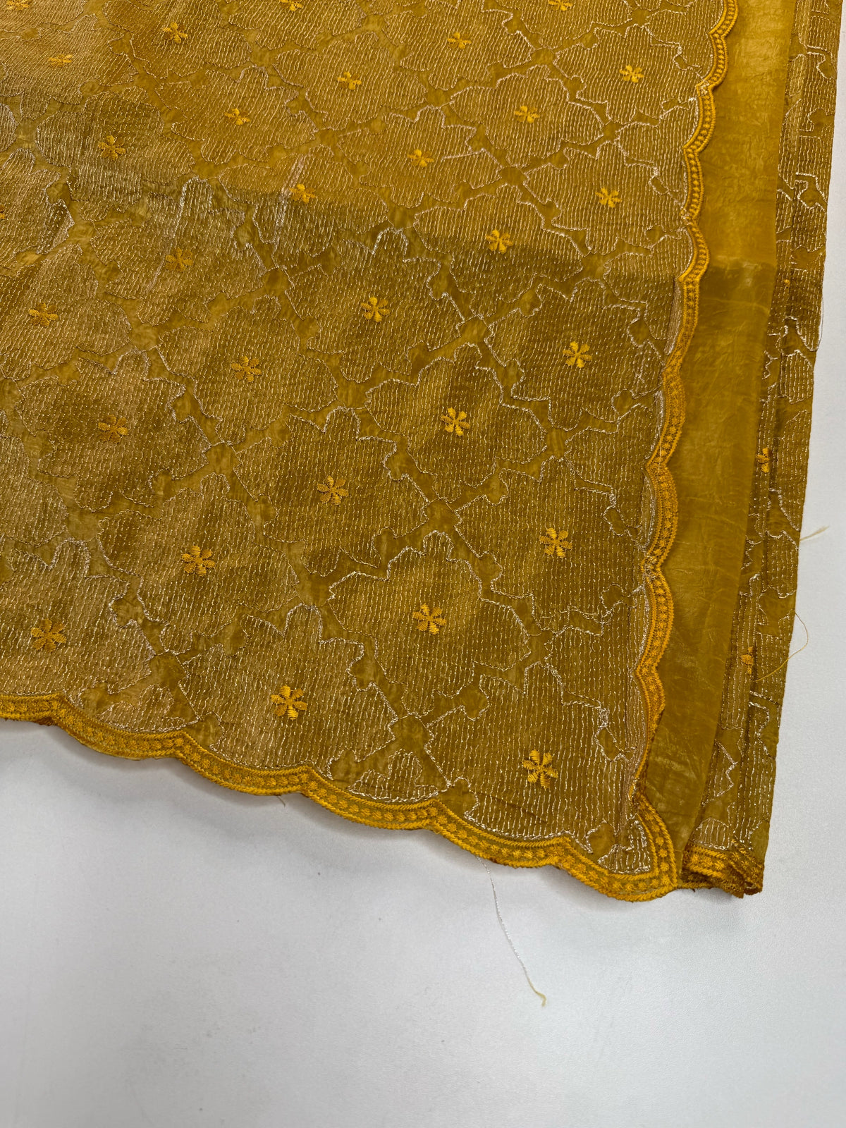 Crushed Organza Saree/ CW3166