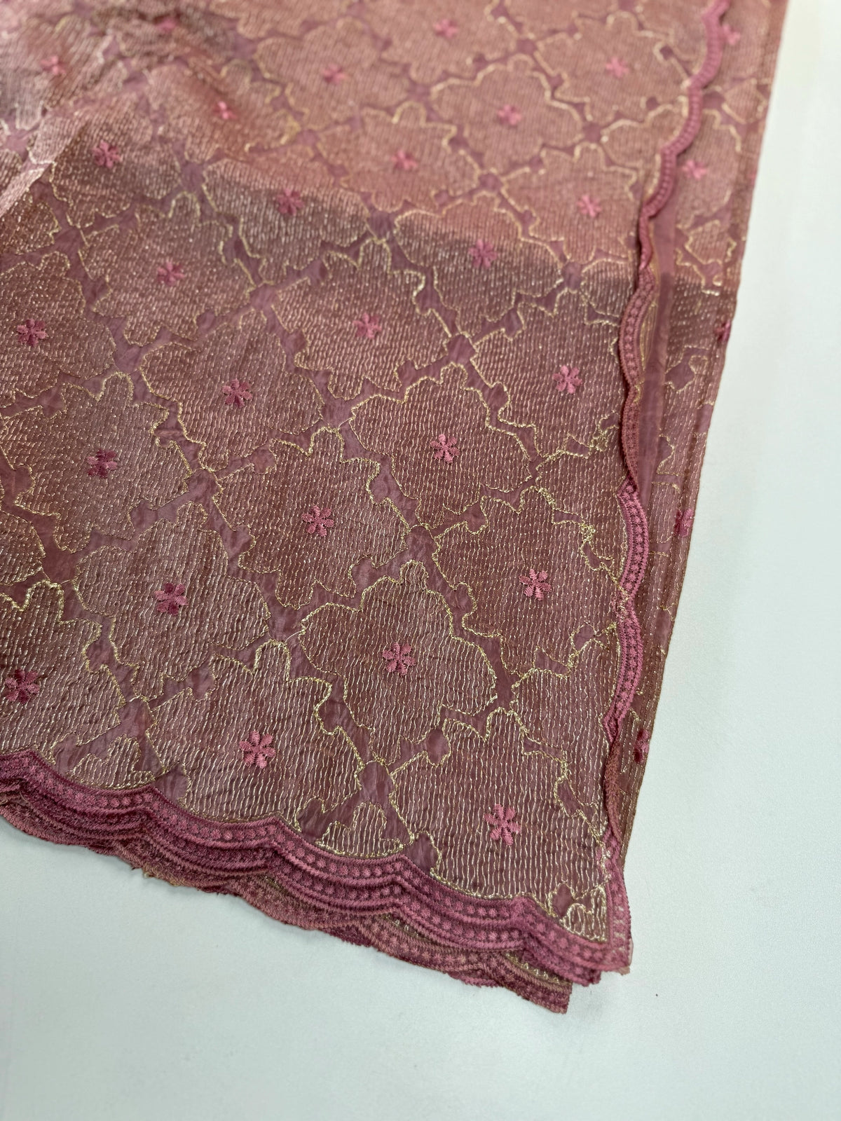 Crushed Organza Saree/ CW3166