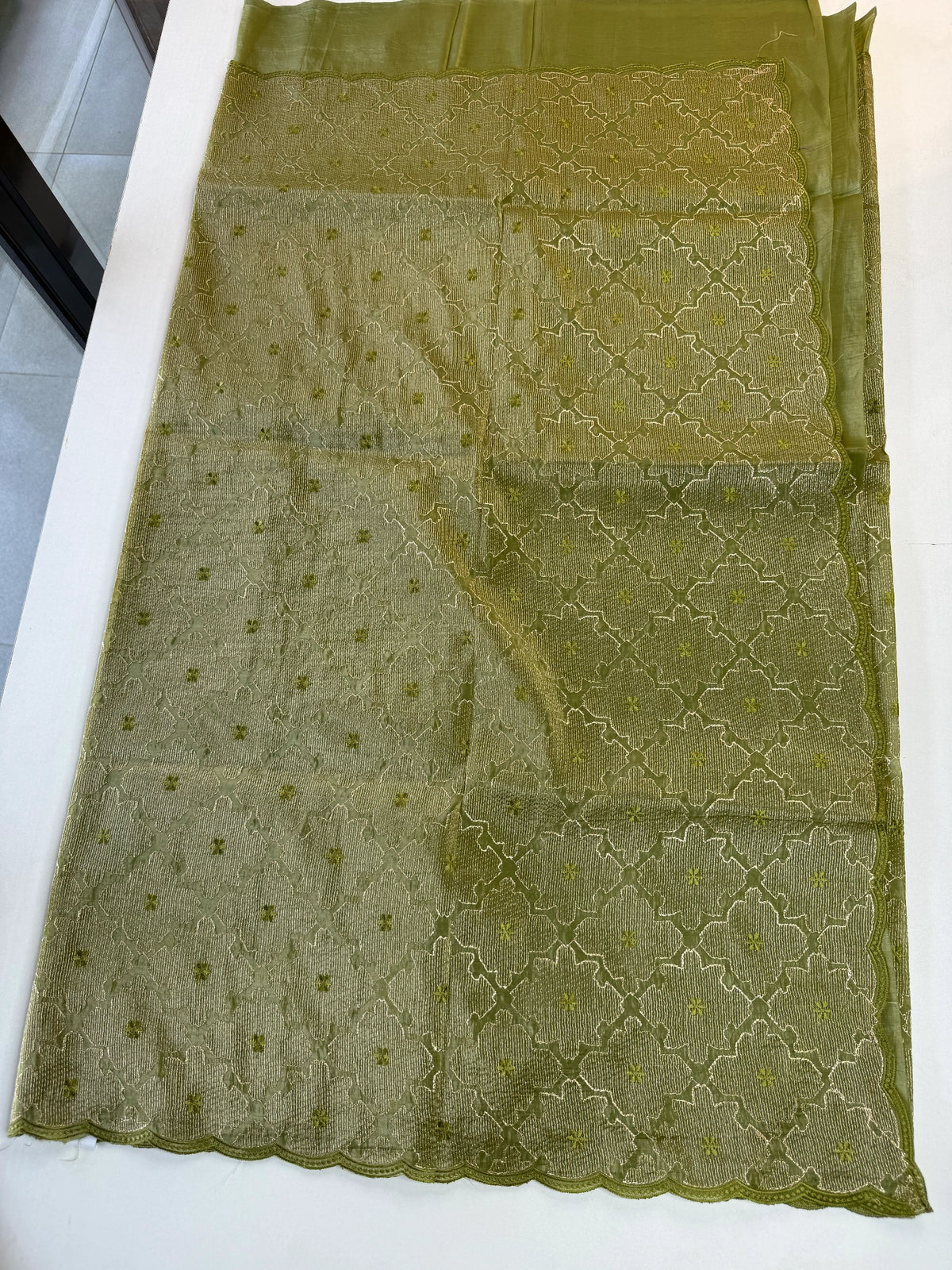 Crushed Organza Saree/ CW3166