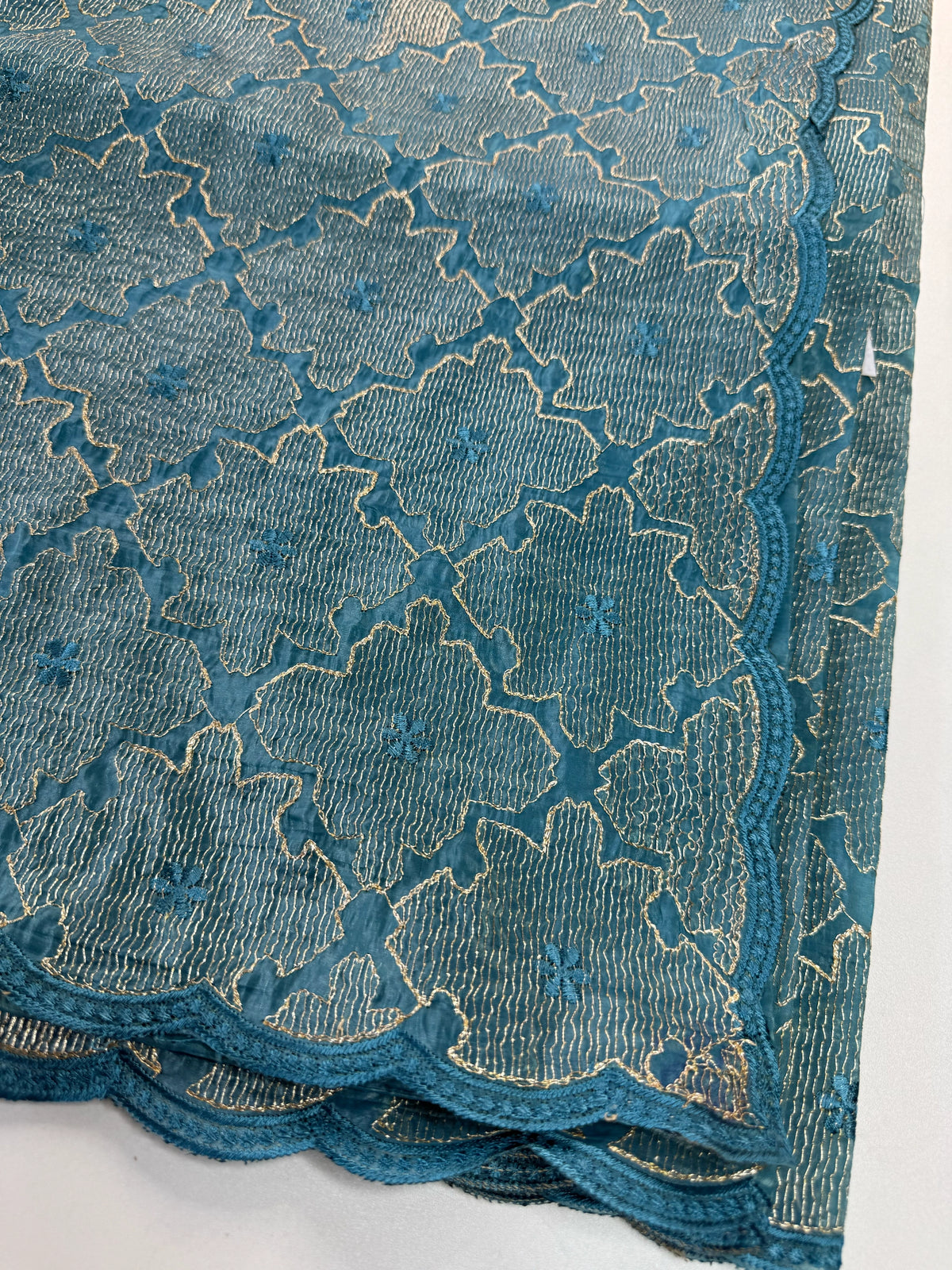 Crushed Organza Saree/ CW3166