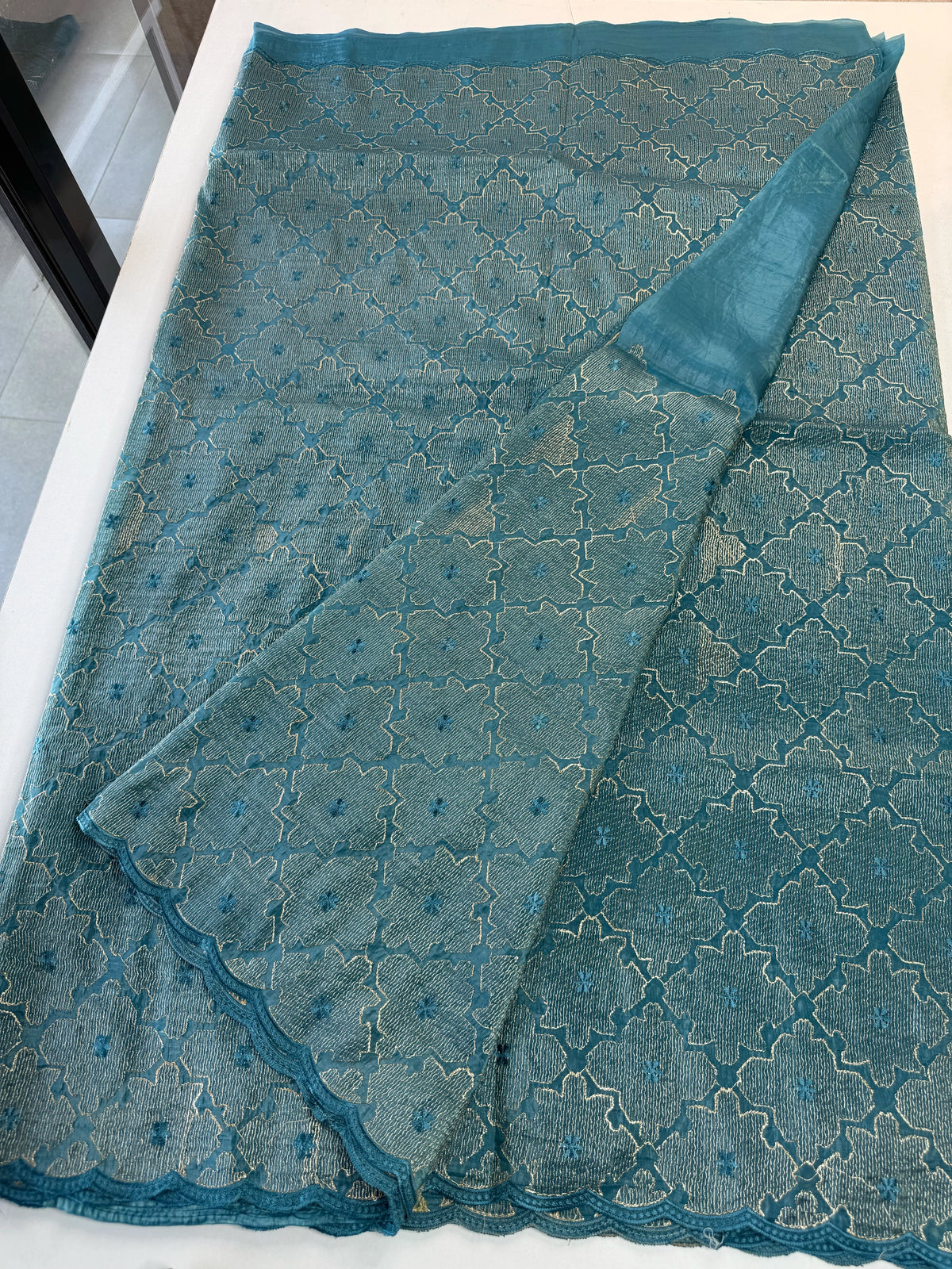 Crushed Organza Saree/ CW3166