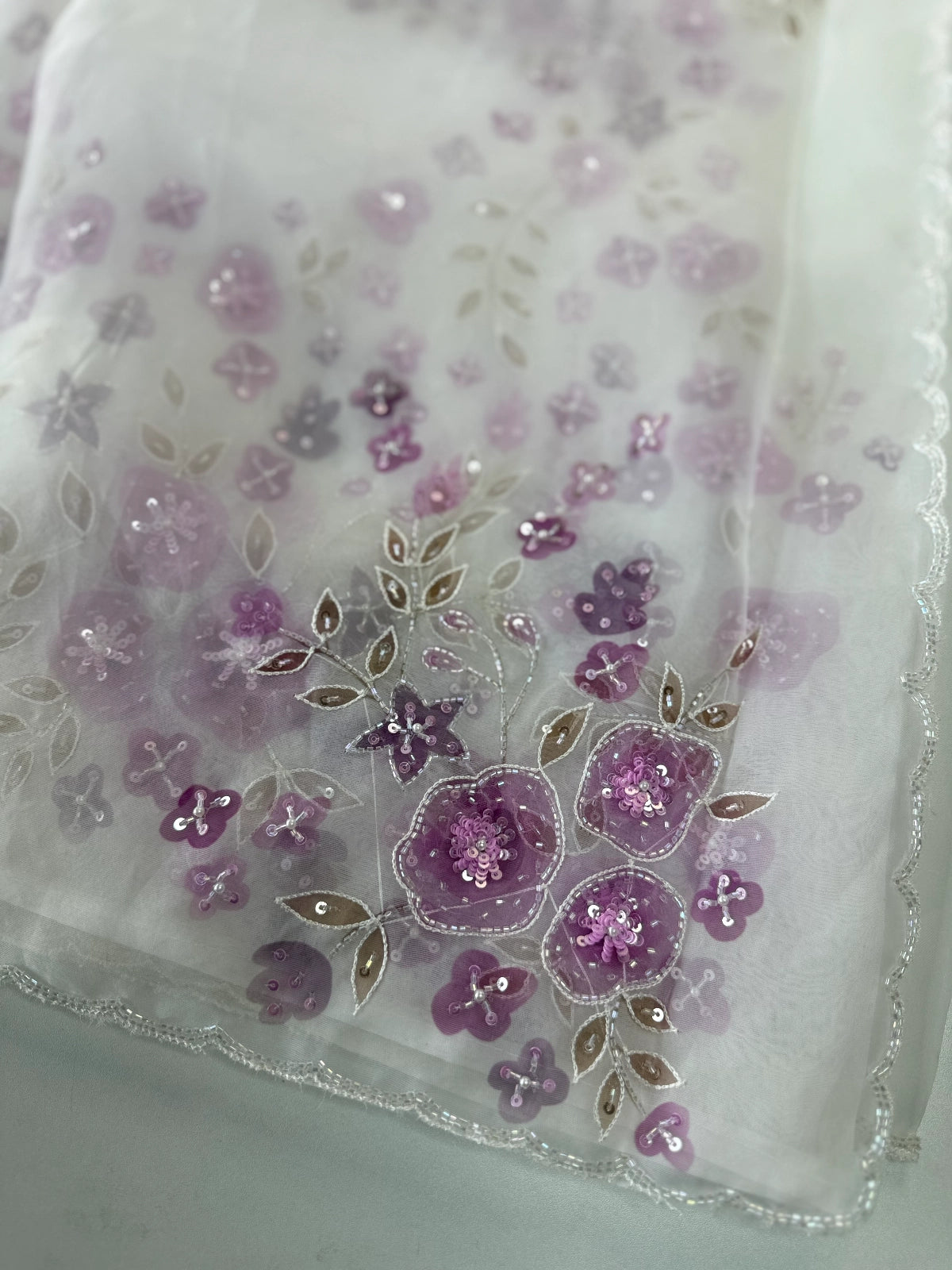 Organza Saree/ HL208