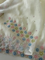 Crushed Organza Saree/ HW161