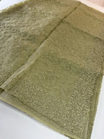 Glass Organza Saree/ CW033