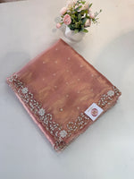 Tissue Organza Saree/ SA20