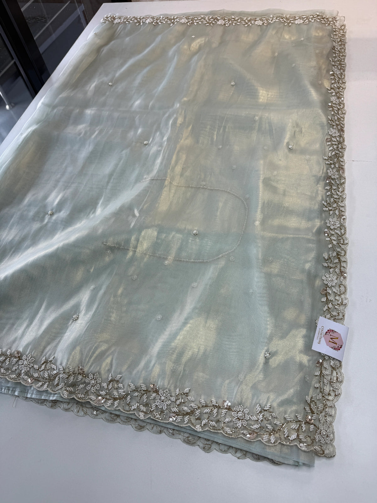 Tissue Organza Saree/ SA20