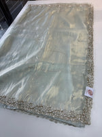 Tissue Organza Saree/ SA20