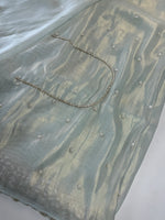 Tissue Organza Saree/ SA20