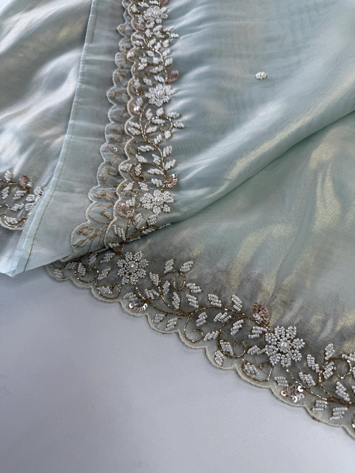Tissue Organza Saree/ SA20