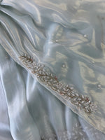Tissue Organza Saree/ SA20
