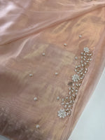 Tissue Organza Saree/ SA20