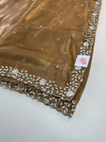 Tissue Organza Saree/ SA20