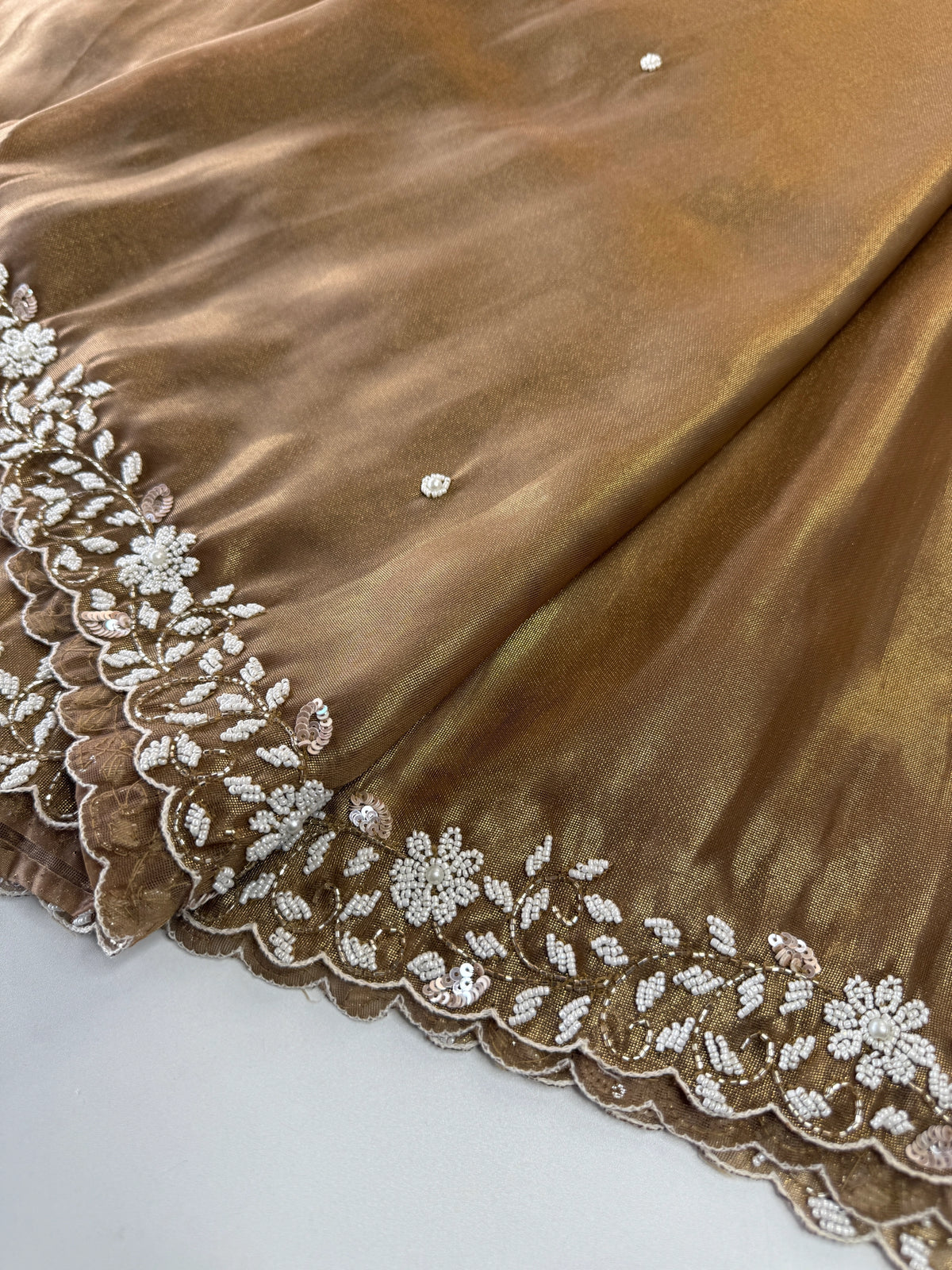 Tissue Organza Saree/ SA20