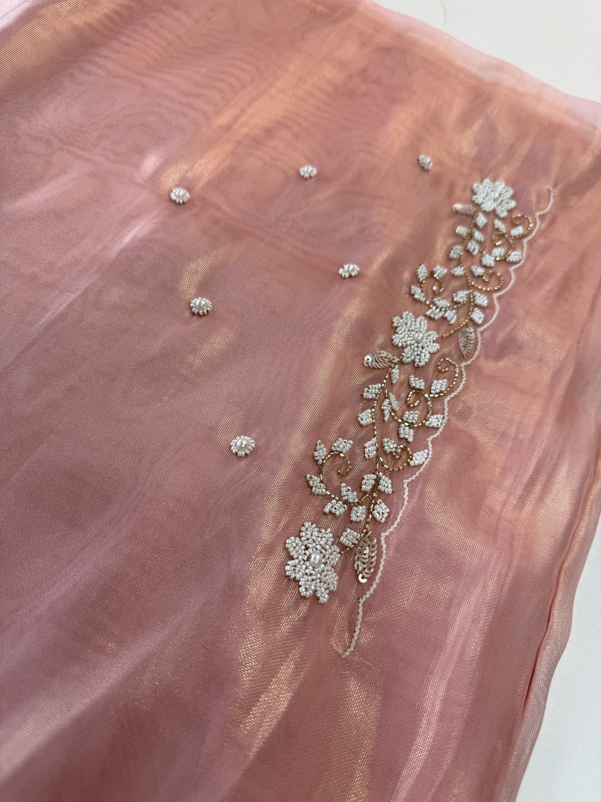 Tissue Organza Saree/ SA20