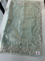 Tissue Organza Saree/ SA001