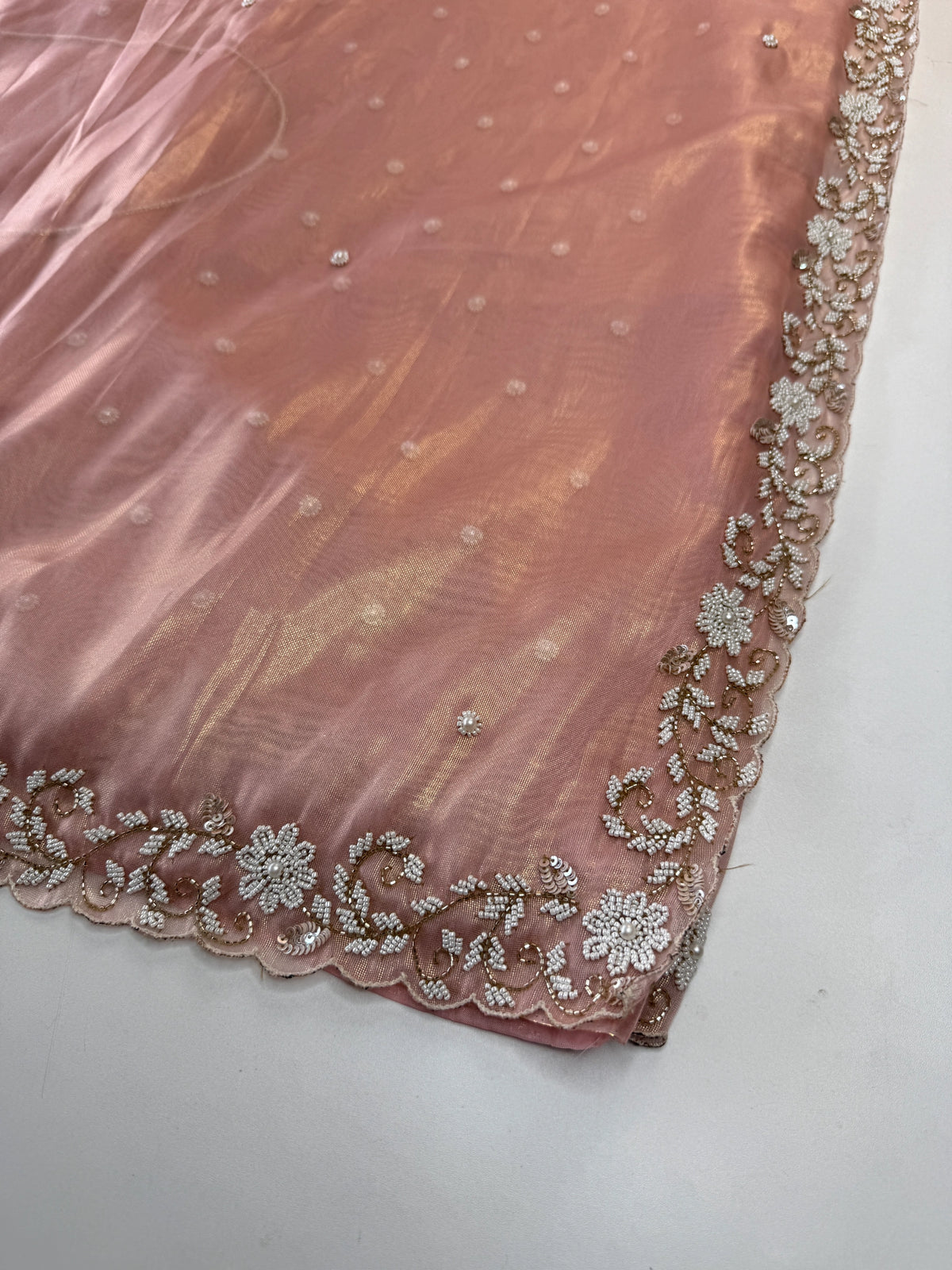 Tissue Organza Saree/ SA20