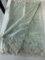 Tissue Organza Saree/ SA001
