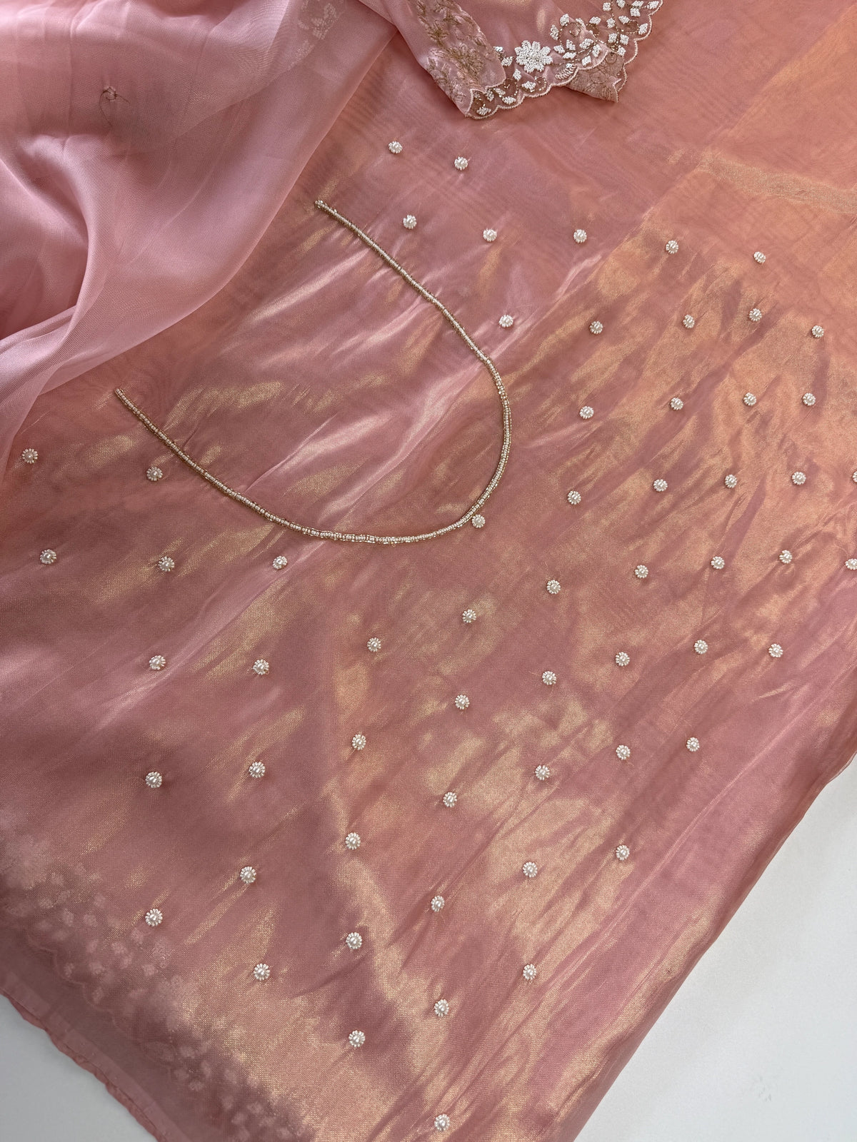 Tissue Organza Saree/ SA20