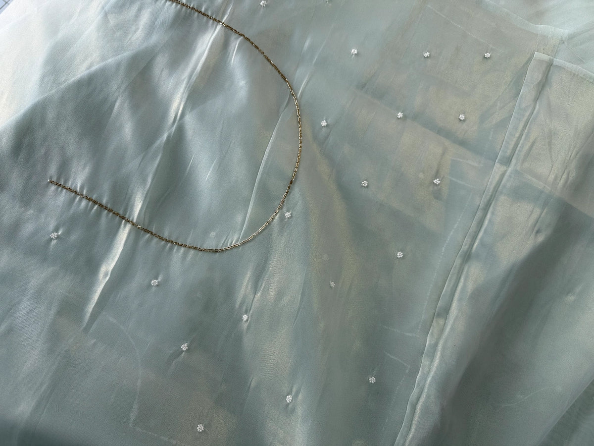 Tissue Organza Saree/ SA001