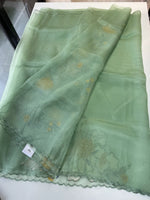 Glass Organza Saree/4435