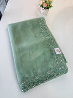 Glass Organza Saree/ SP96