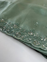 Glass Organza Saree/ SP96