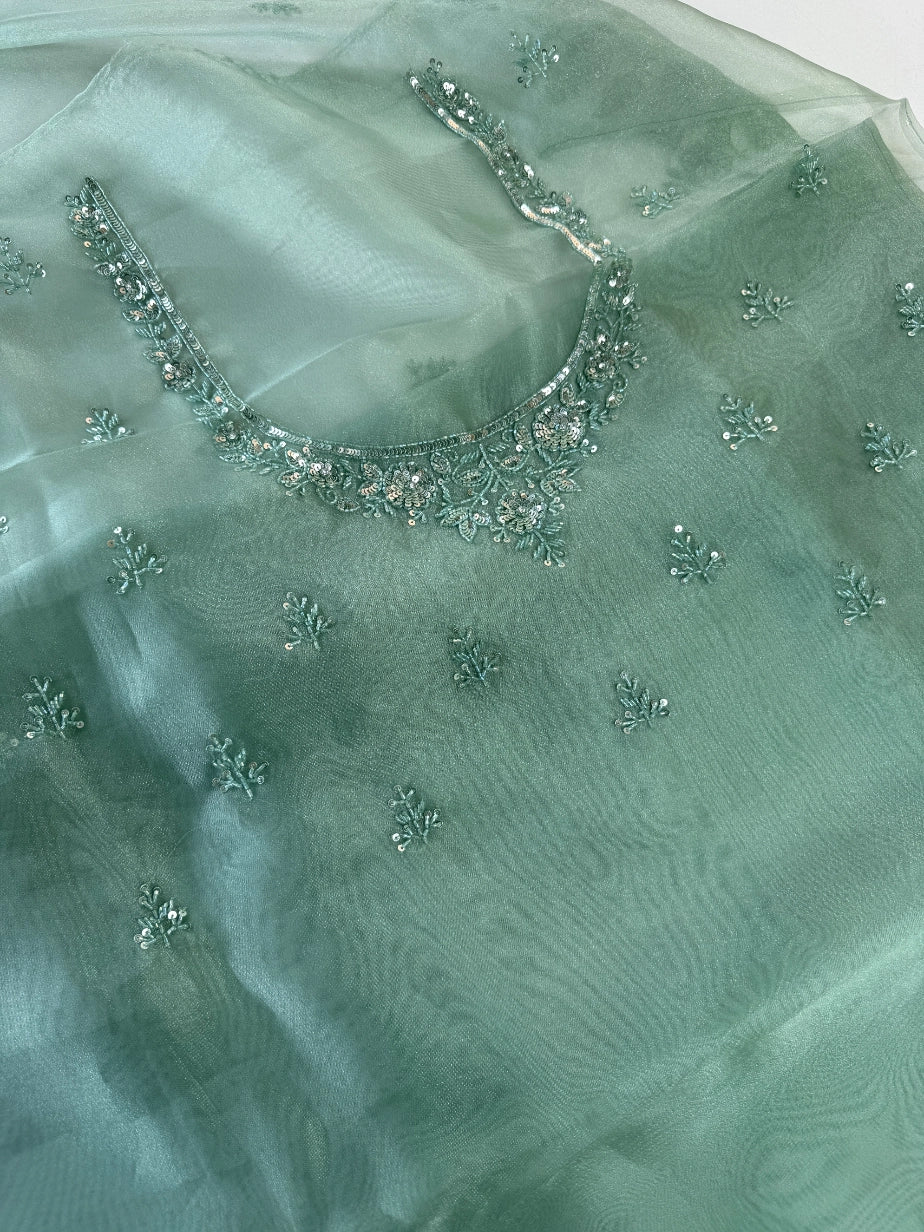 Glass Organza Saree/ SP96