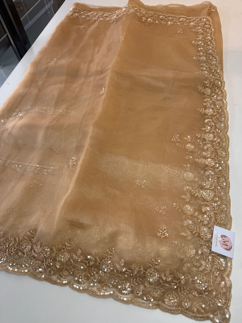 Glass Organza Saree/ SP96