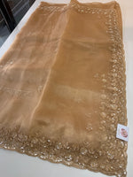 Glass Organza Saree/ SP96