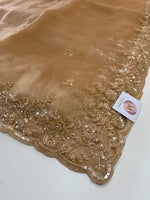 Glass Organza Saree/ SP96