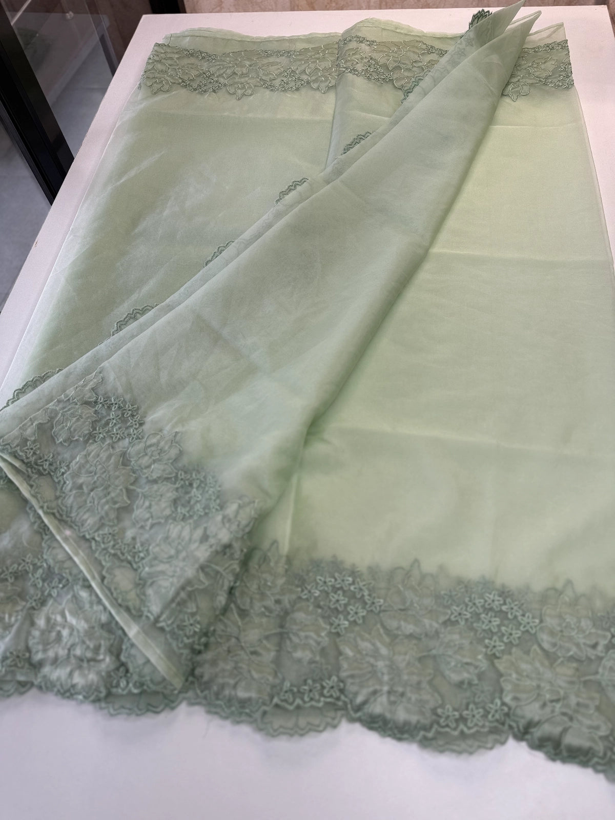Soft Organza Saree/ 287B