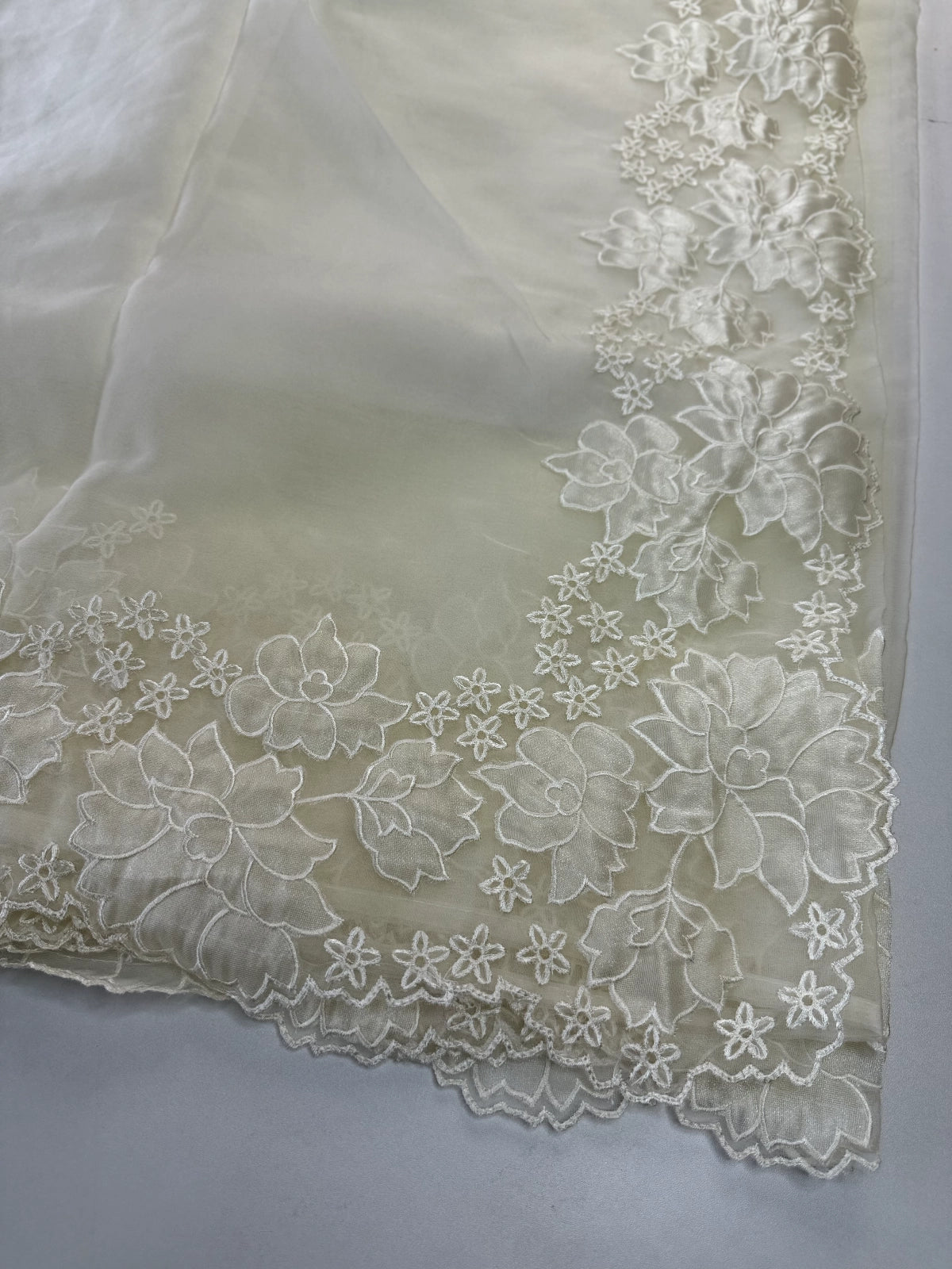 Soft Organza Saree/ 287B